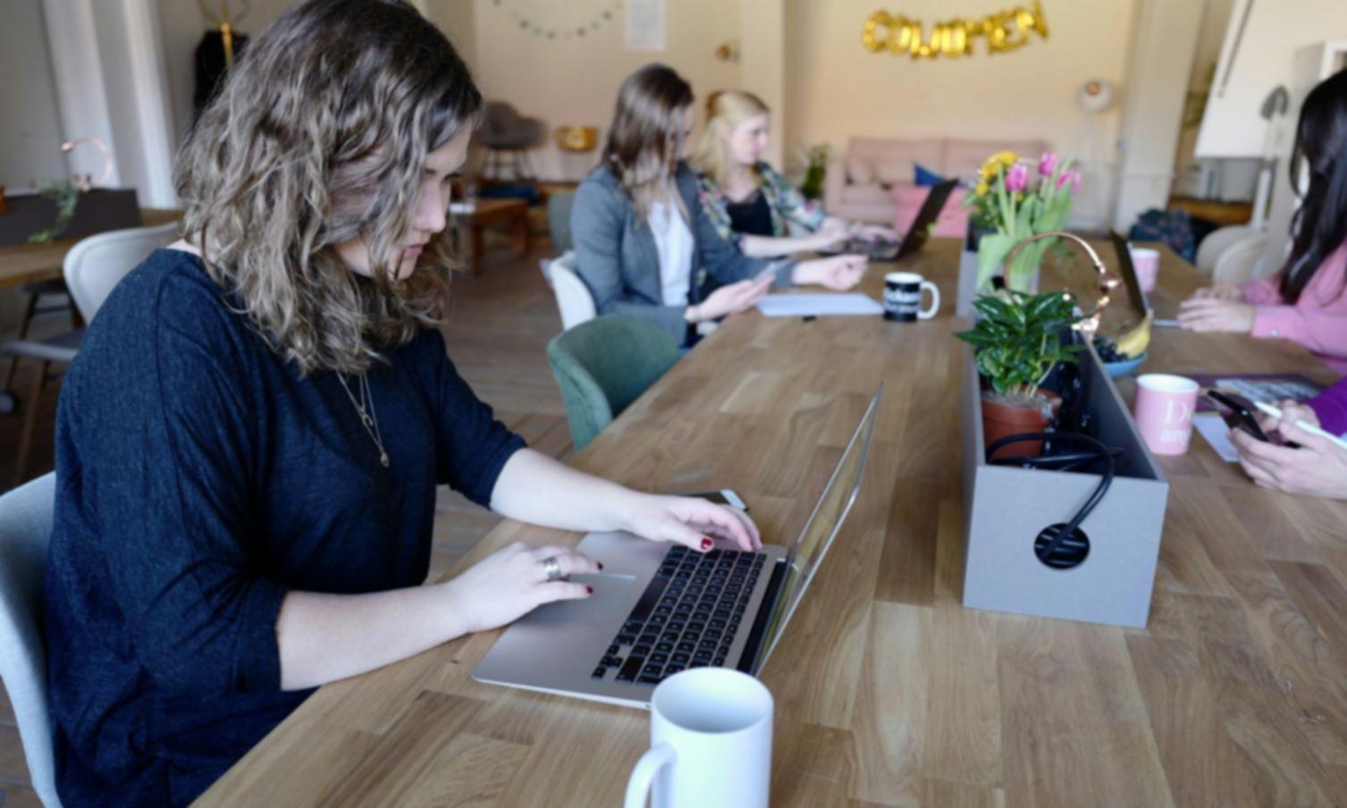 Equipo de WiseUpIq trabajando en consultoría empresarial